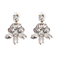 Load image into Gallery viewer, FERN Crystal Statement Earrings
